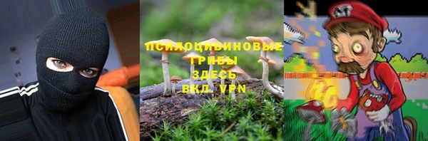 кристаллы Белокуриха