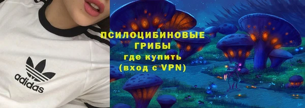 кристаллы Белокуриха