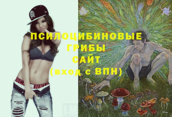 кристаллы Белокуриха