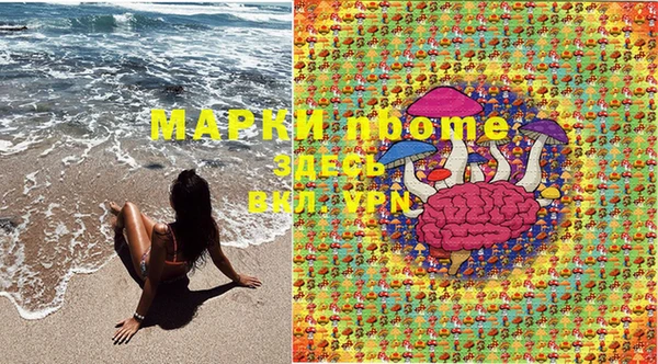 ПСИЛОЦИБИНОВЫЕ ГРИБЫ Беломорск